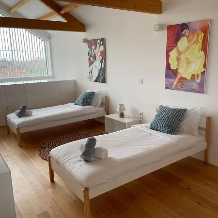 Modern Barn House In Countryside Holiday home